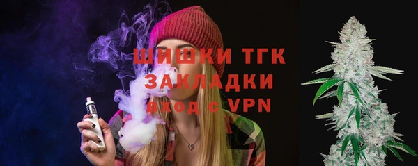 стаф Богородск