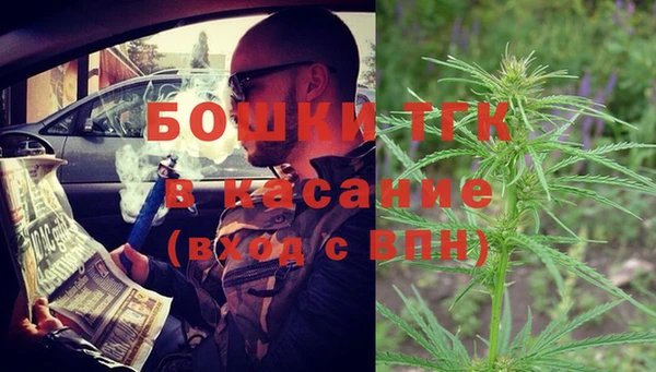 стаф Богородск
