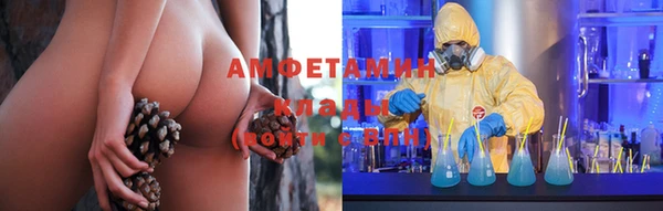 стаф Богородск