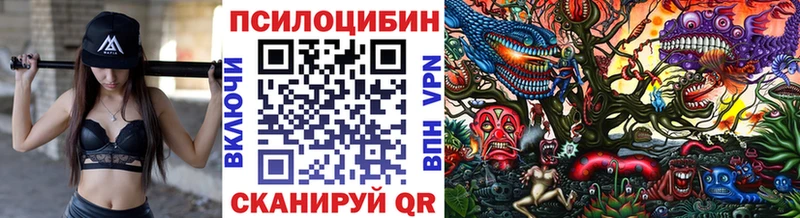 Галлюциногенные грибы Psilocybe  Котельники 
